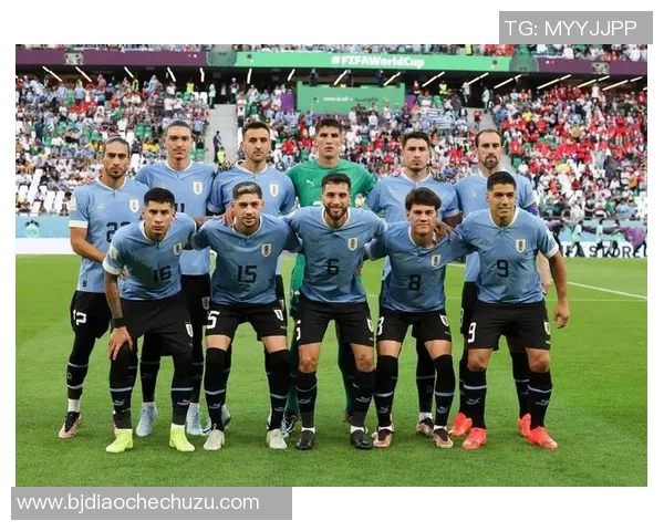 足球明星妻子们的魅力与风采壁纸合集 展现足球背后的坚强女性力量